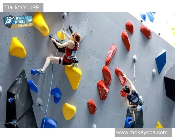 攀岩意识排行榜发布上海攀岩队荣获第十名引发关注与讨论